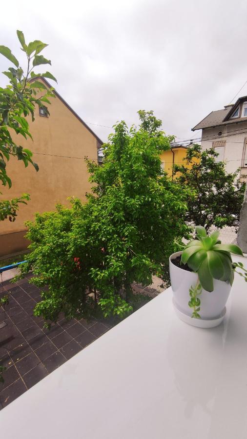 Mona Blue Apartment Sarajevo Bagian luar foto